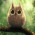 Cute_Owl-wallpaper-10609673