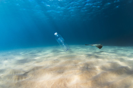 Ocean plastiku to nie metafora. Zabija i okalecza morskie ryby, owoce morza, ptaki. Co możesz zrobić?