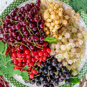 Porzeczki pełne smaku!