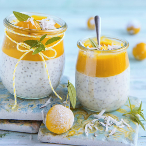 Pudding z chia z musem mirabelkowym i mango
