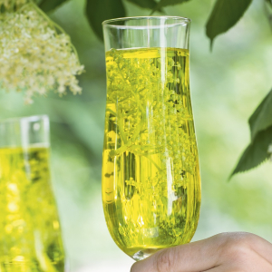 Szampan z kwiatów czarnego bzu