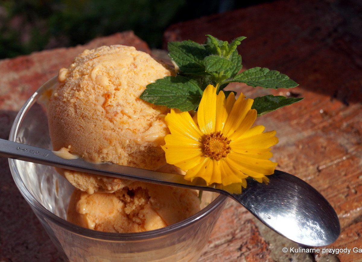 Domowe lody morelowe