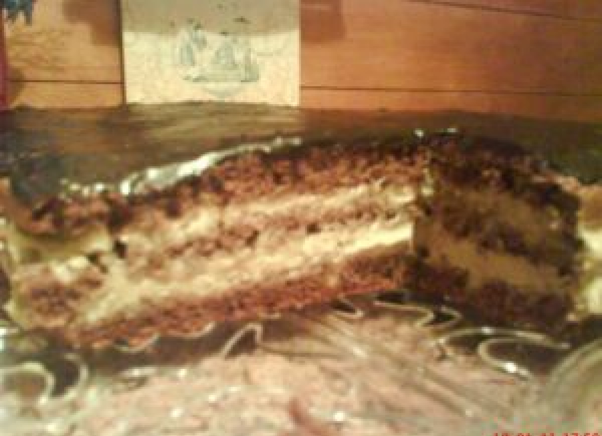 BISZKOPT Z MASĄ CHAŁWOWĄ