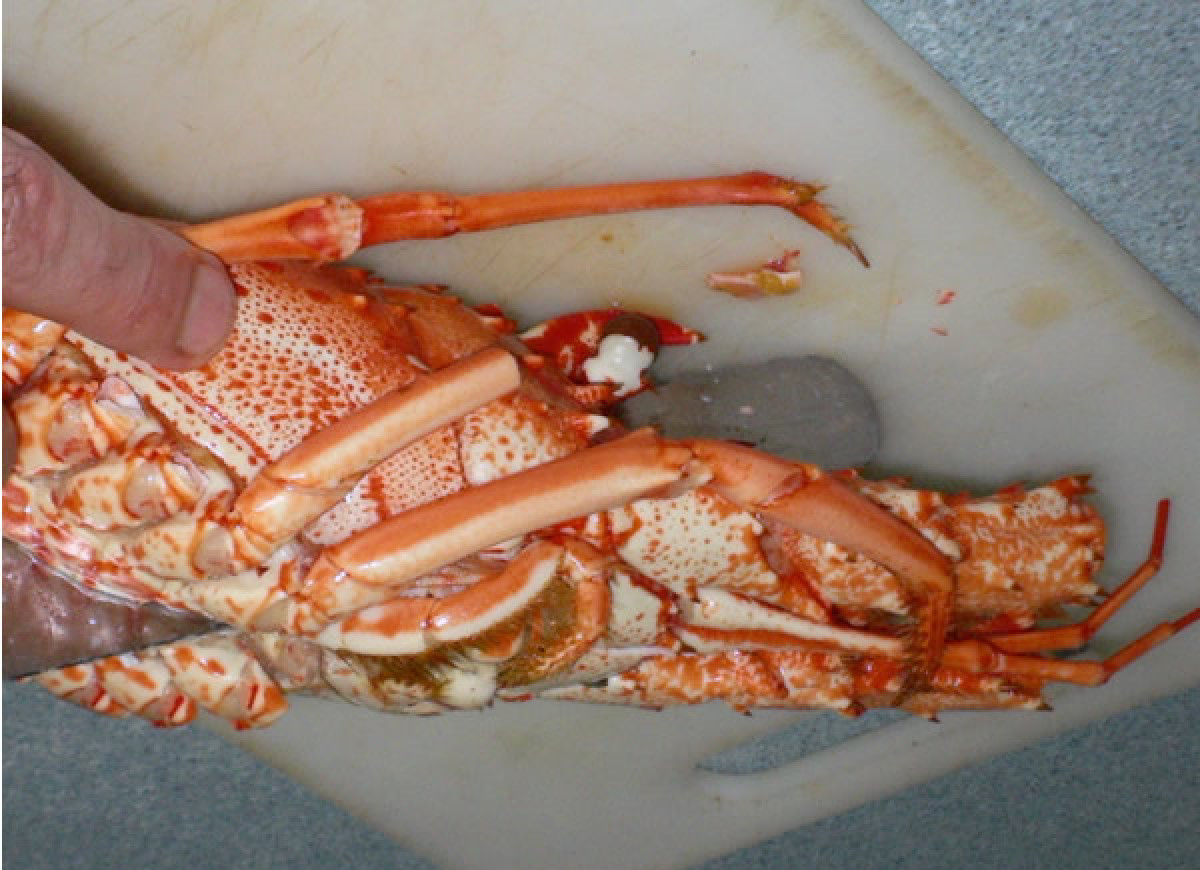 Homar z sosem bazyliowym