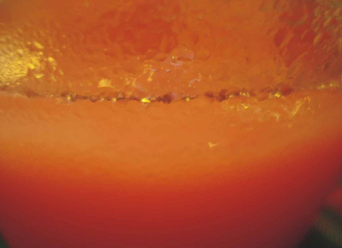 Campari z sokiem pomarańczowym