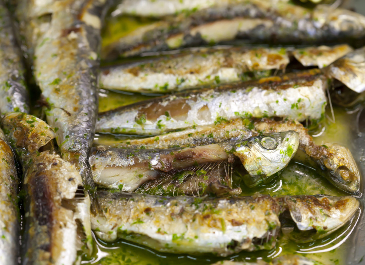 Sardinhas assadas – pieczone sardynki