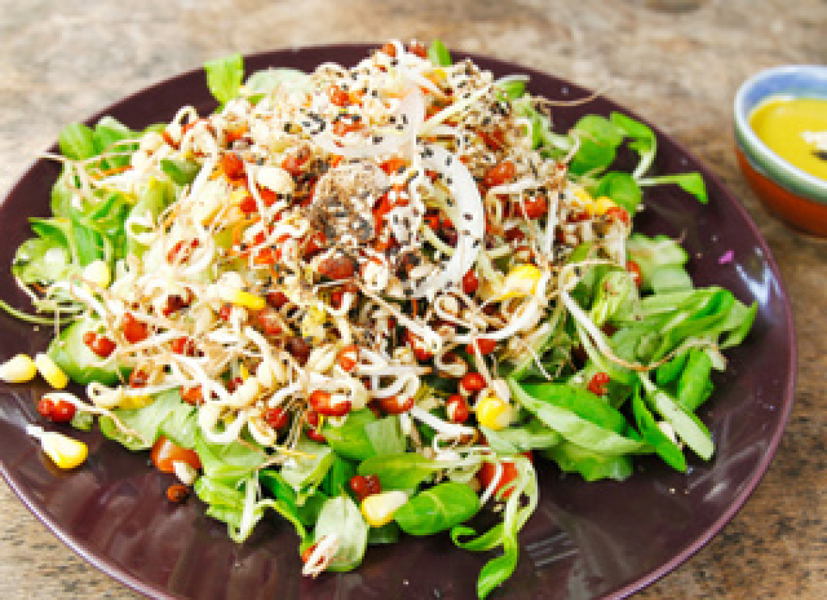 Kolorowa sałatka z kiełkami