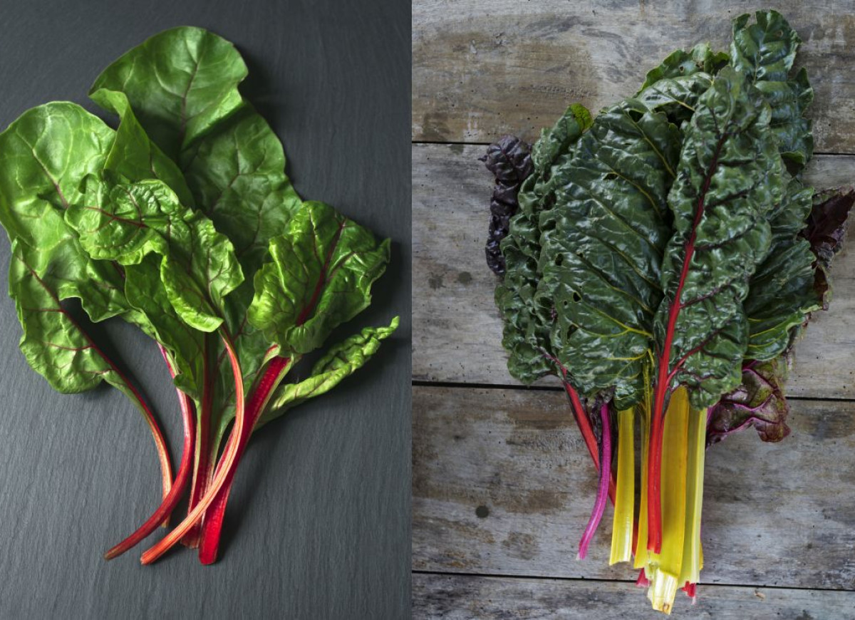 Botwina czy boćwina? Zagadka rozwiązana!