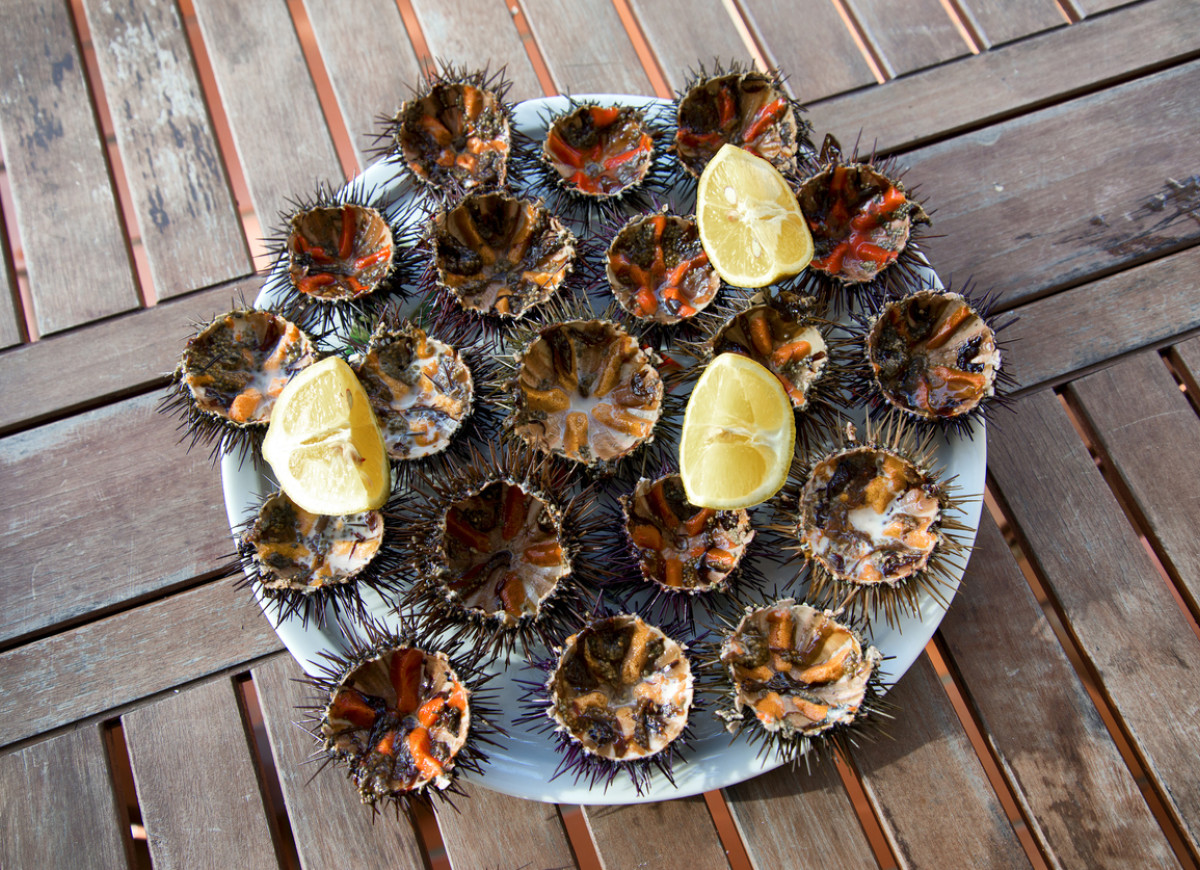 Jeżowiec - morski przysmak