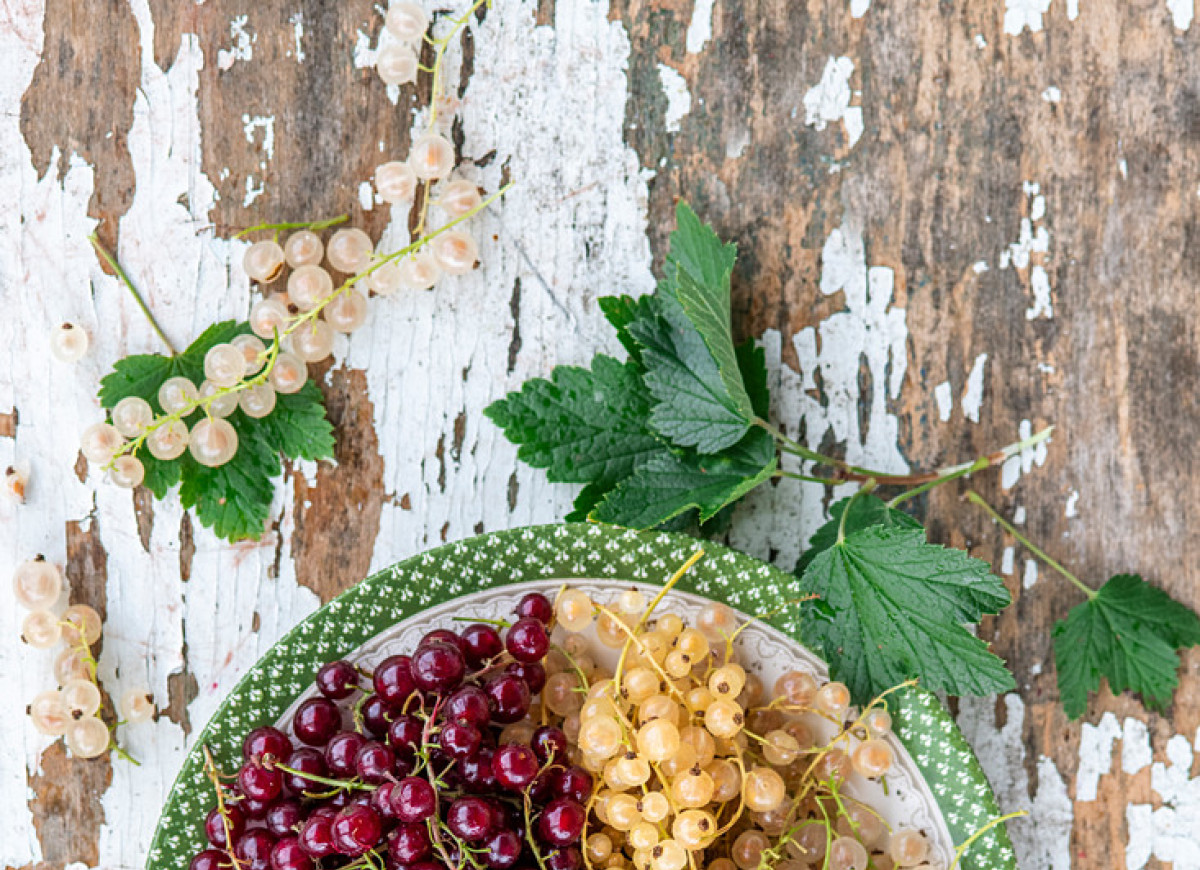 Porzeczki pełne smaku!