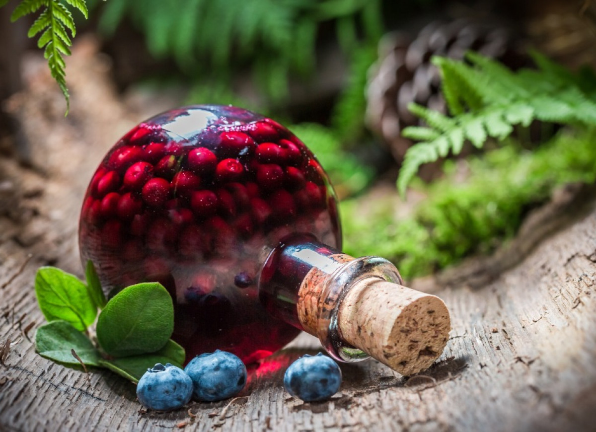 nalewka-borówki-amerykańskie