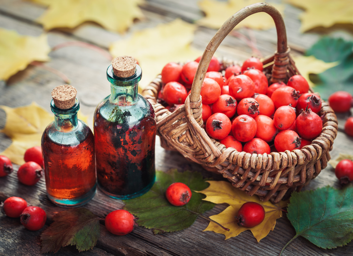 Nalewka z głogu z miodem