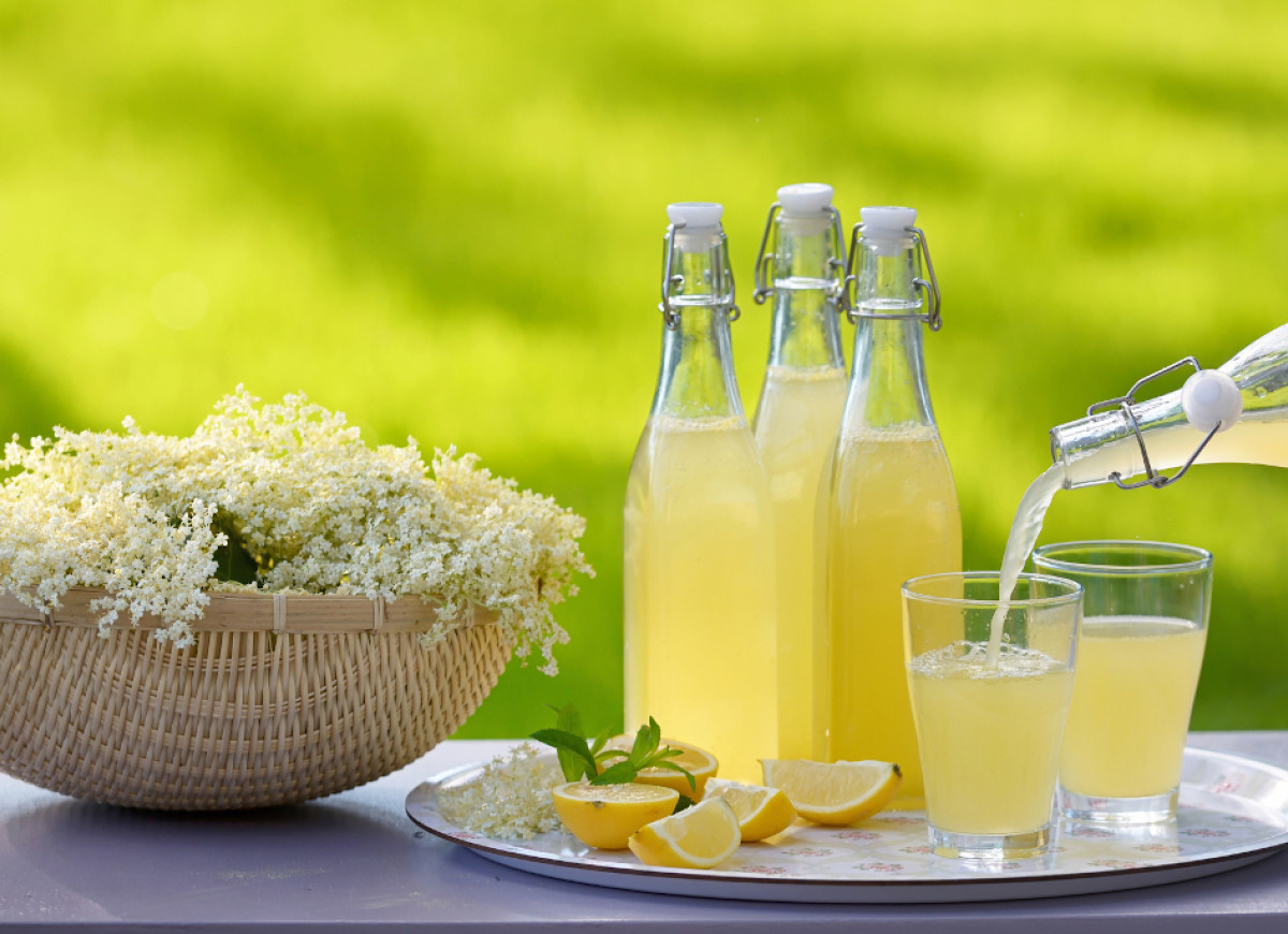 Nalewka z kwiatów czarnego bzu