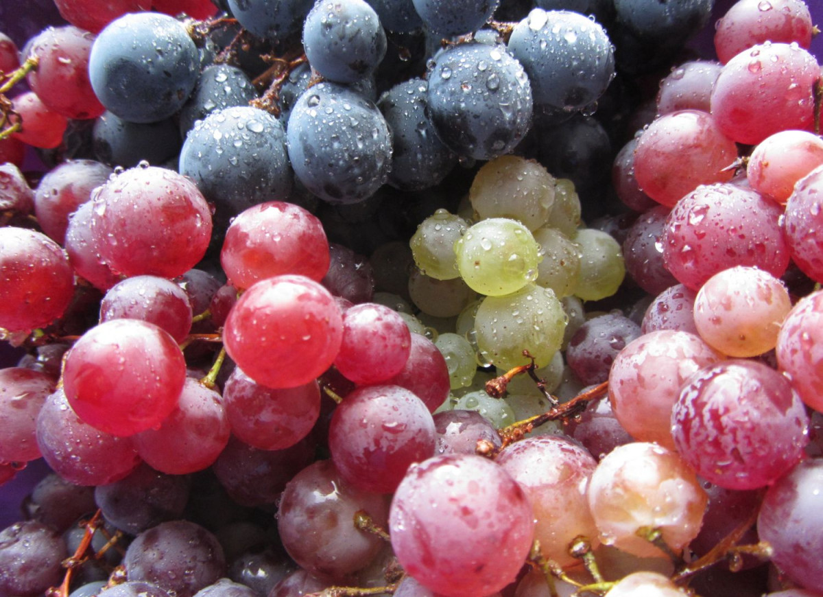 Białe i czerwone winogrona