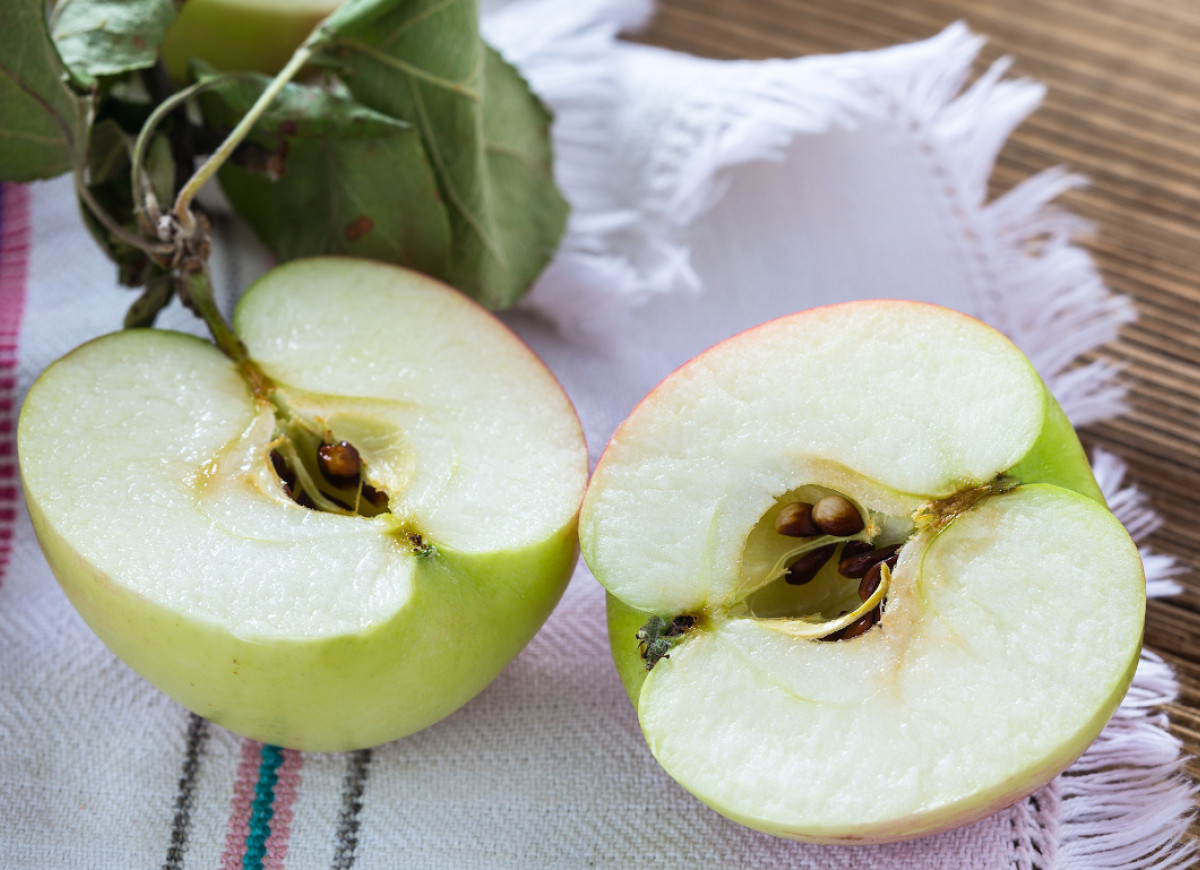 Czy pestki jabłek są trujące