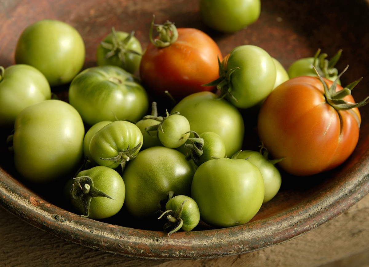 niedojrzałe-pomidory