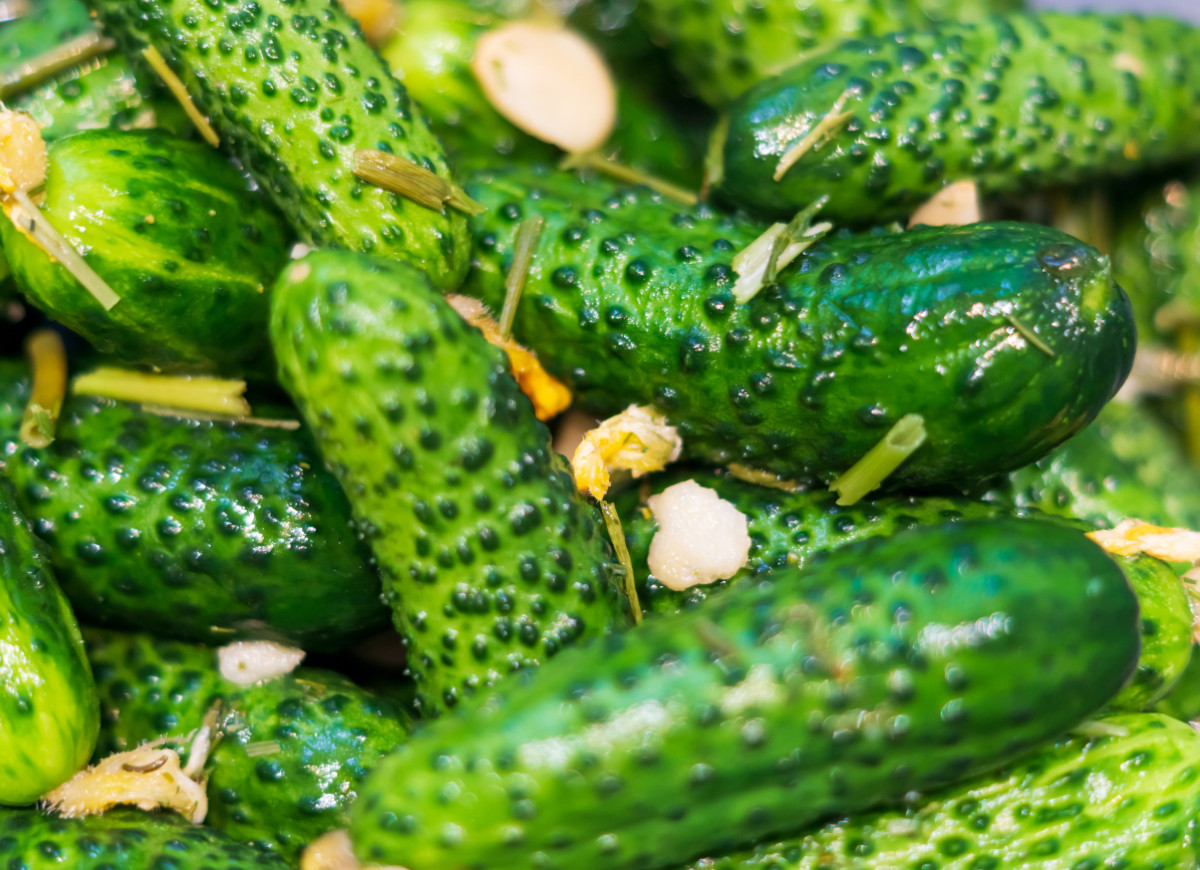 ogórki bez zalewy