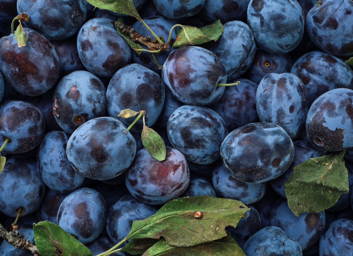 W Biedronce śliwki po 1,99 zł!