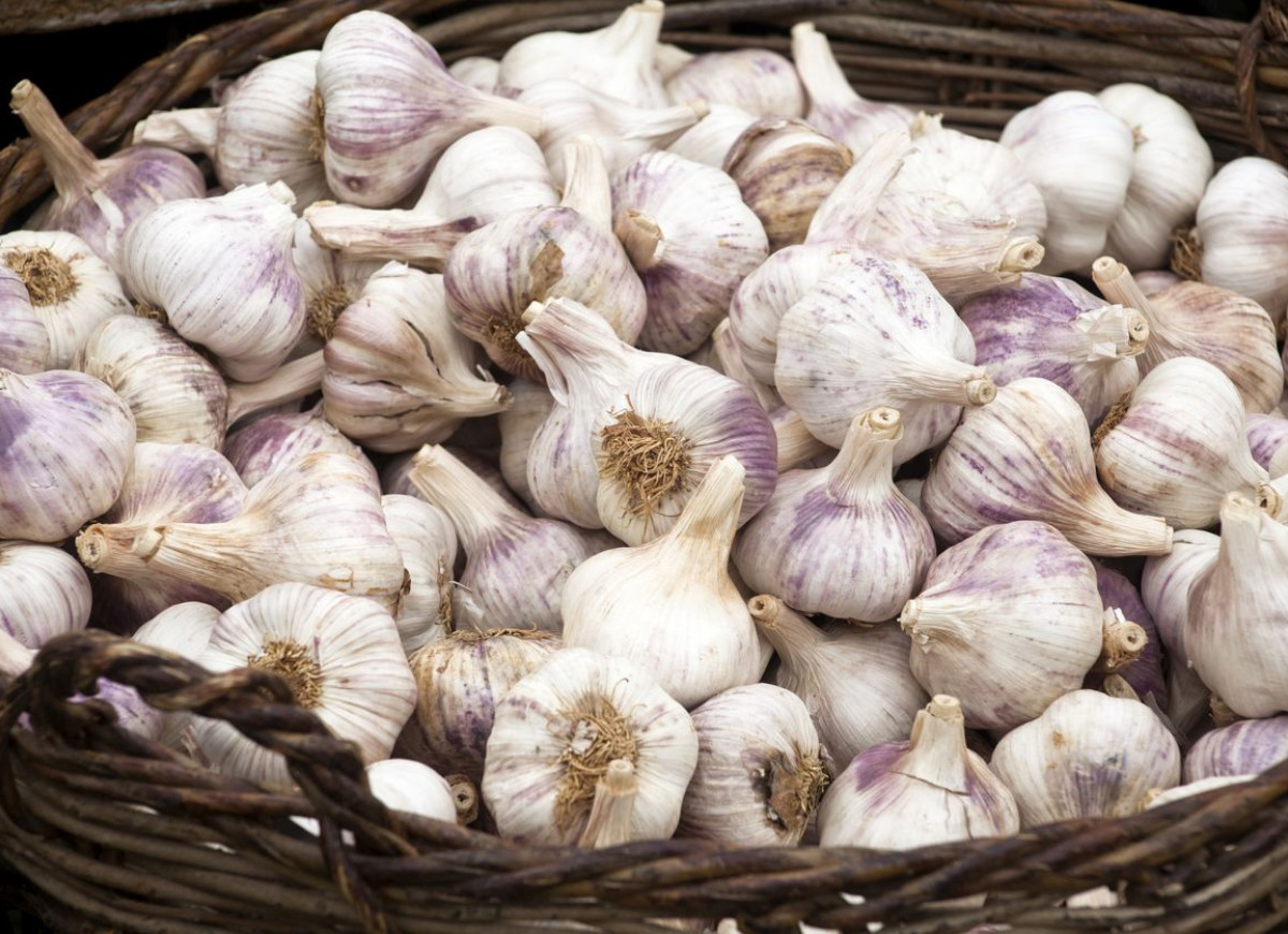 Czosnek przechowywanie