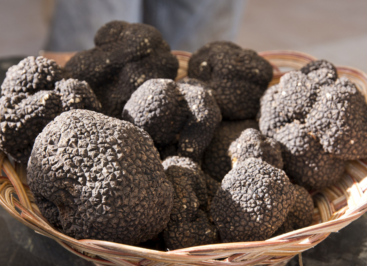 trufle