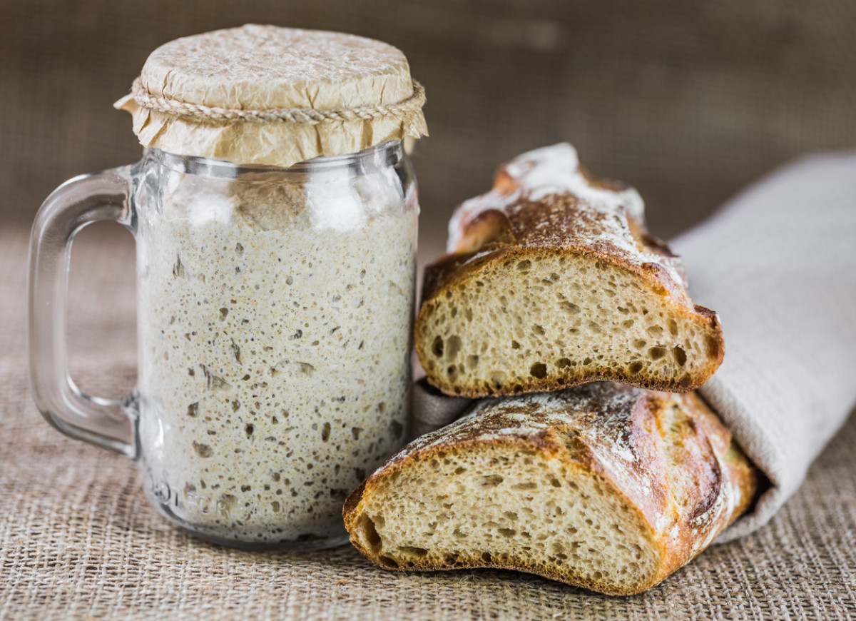 Zakwas na chleb