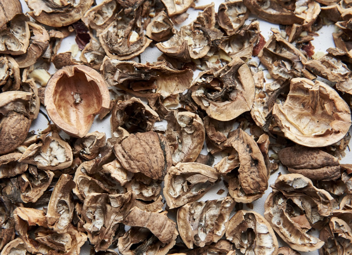 łupiny orzechów włoskich