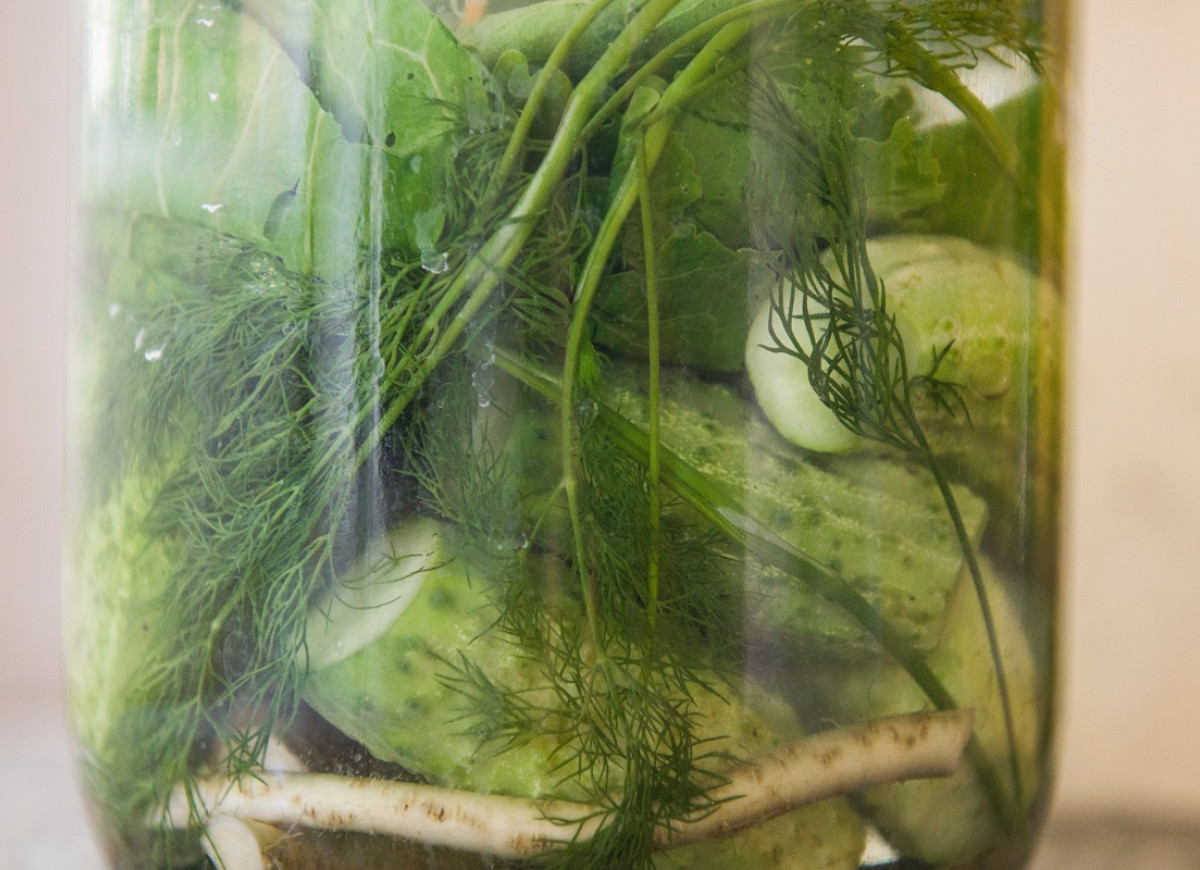 ogórki małosolne błąd