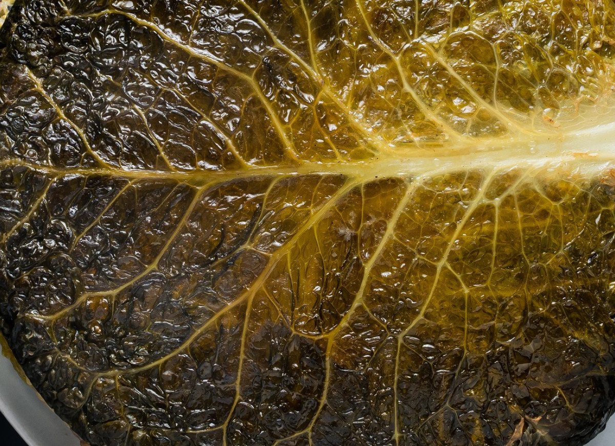 placki ziemniaczane w kapuście