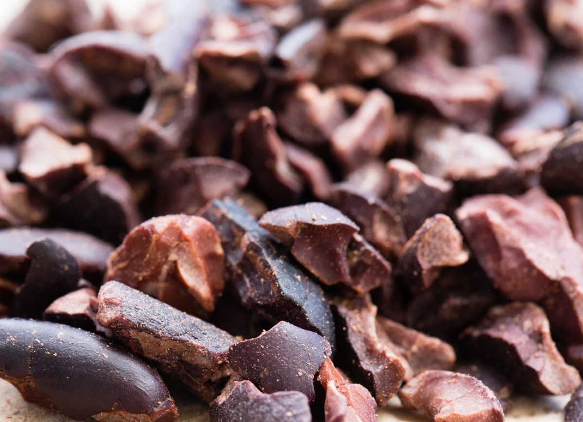 surowe ziarna kakaowca