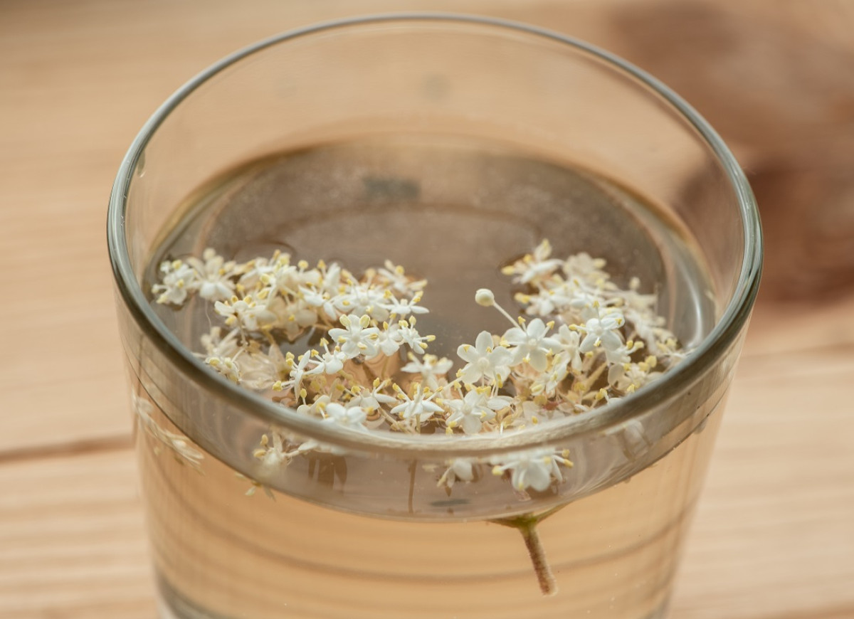 syrop z kwiatów czarnego bzu