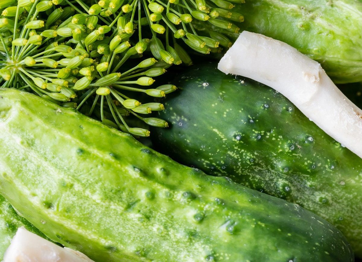 szybkie ogórki małosolne