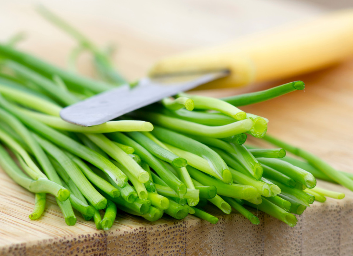 jak przechowywać szczypiorek