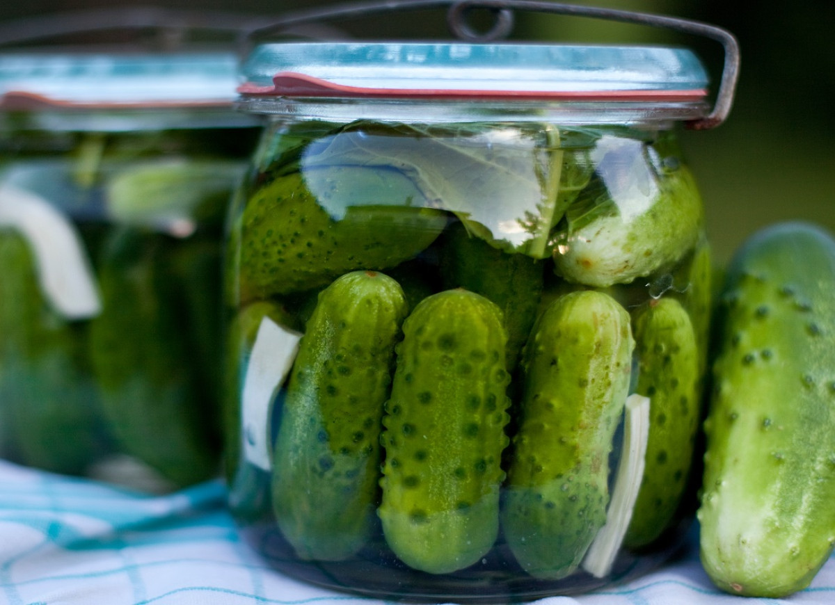 ogórki watykańskie