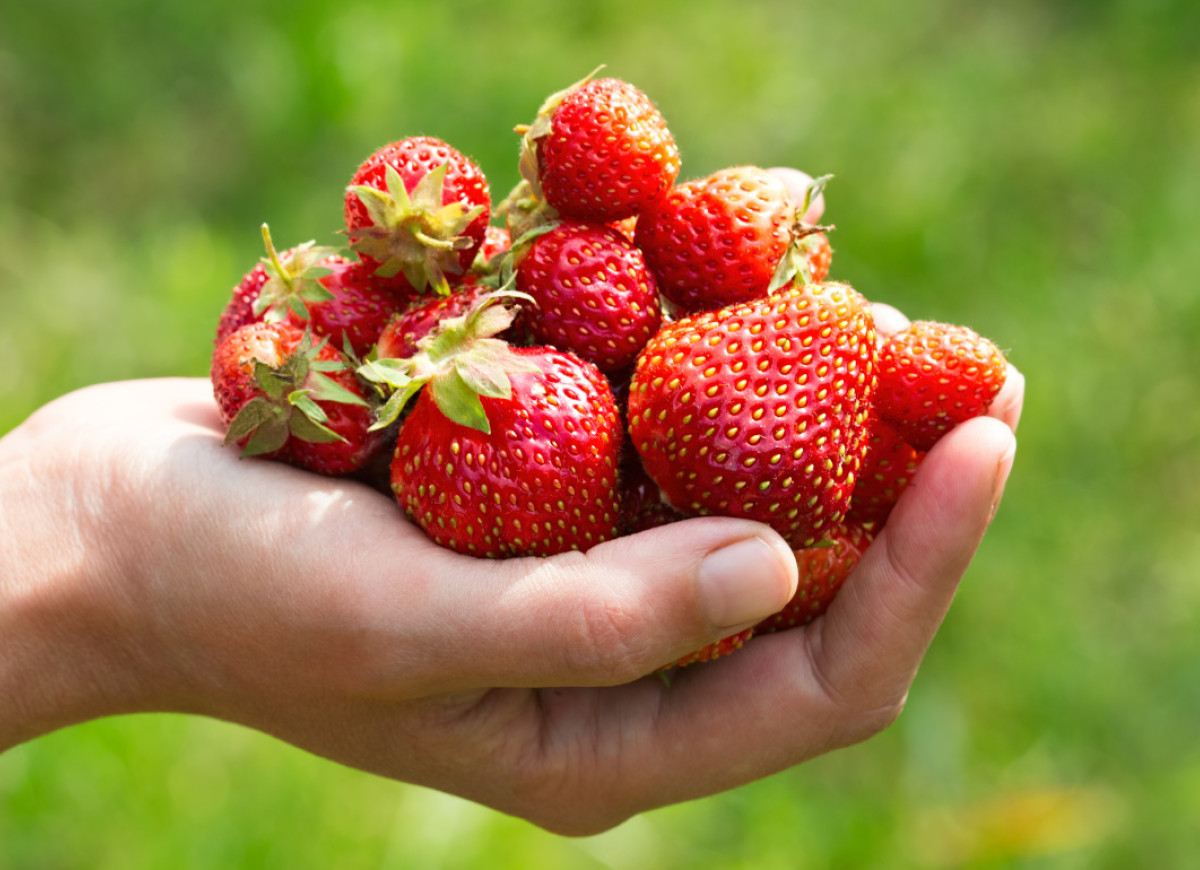 garść truskawek