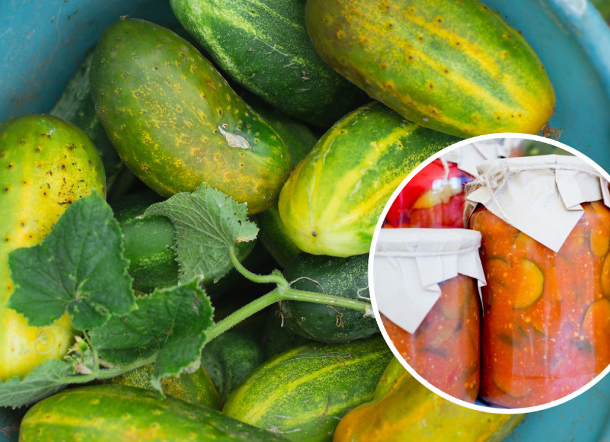 ogórki w pomidorach