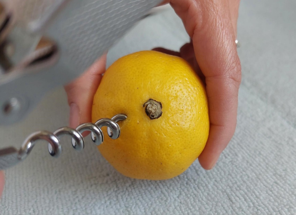 cytryna z korkociągiem