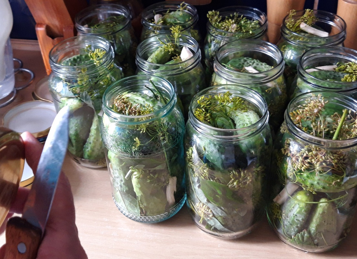 ogórki kołobrzeskie