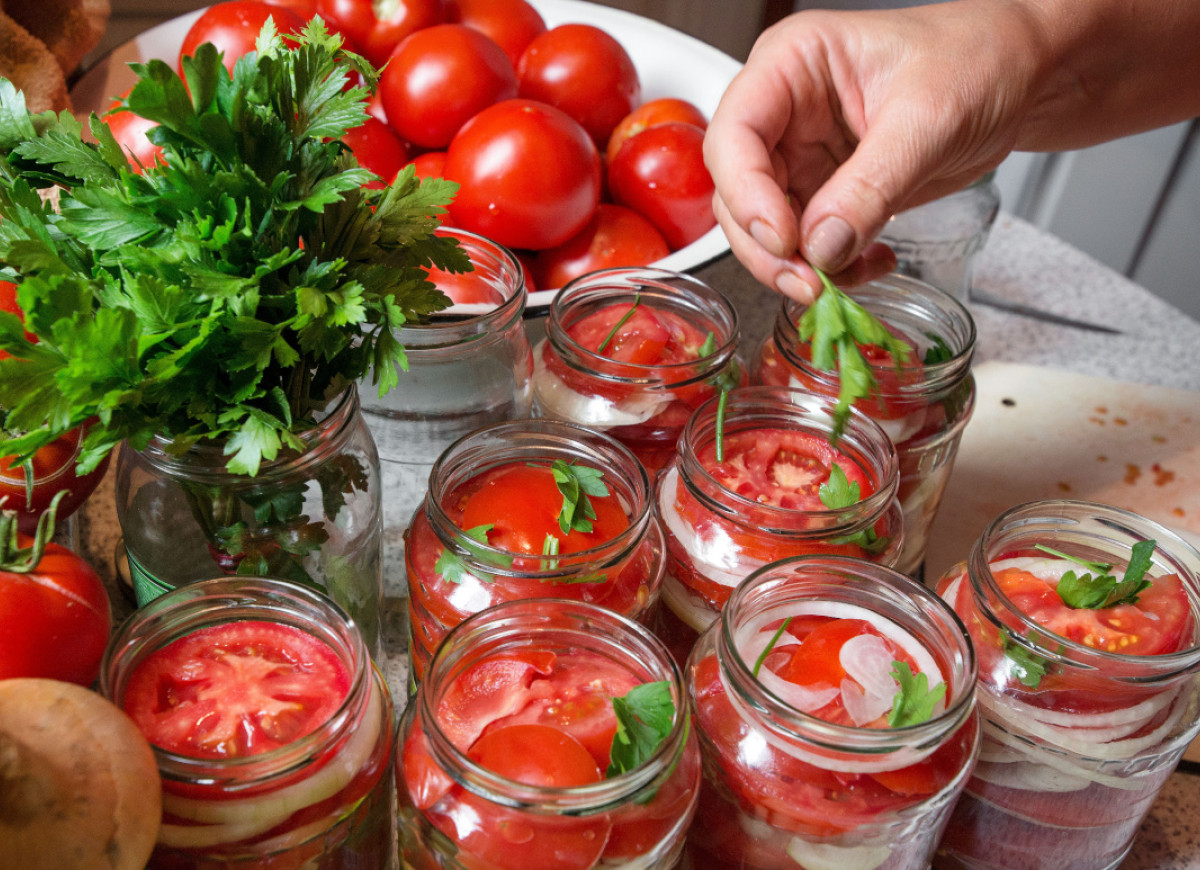 pomidory do słoików