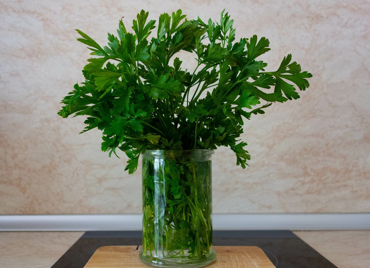 jak odświeżyć natkę pietruszki
