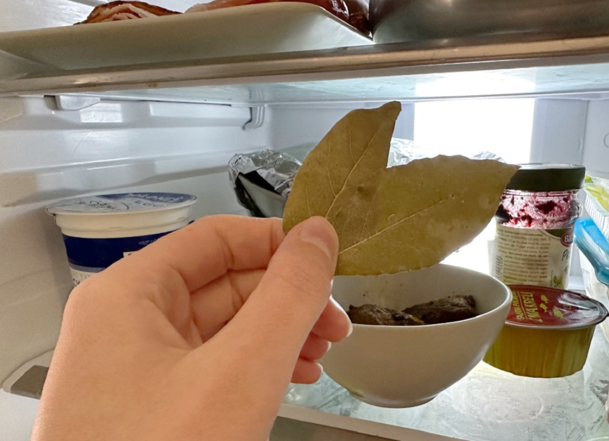 liście laurowe w lodówce