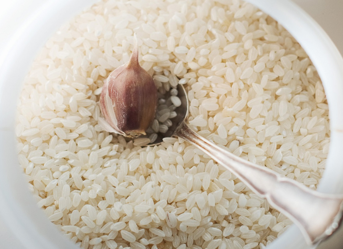 czosnek w ryżu