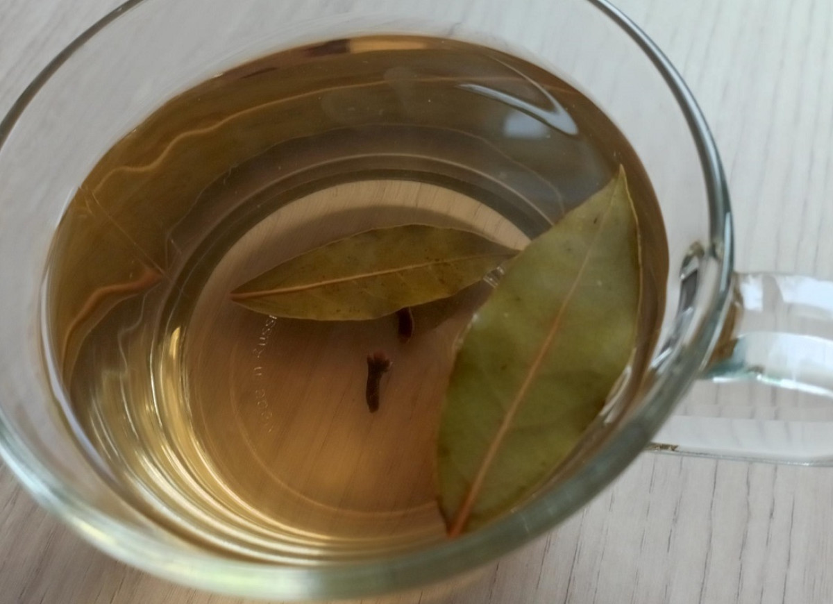 herbatka z liści laurowych