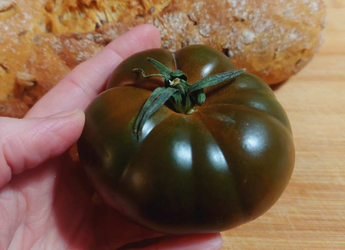 pomidor czekoladowy