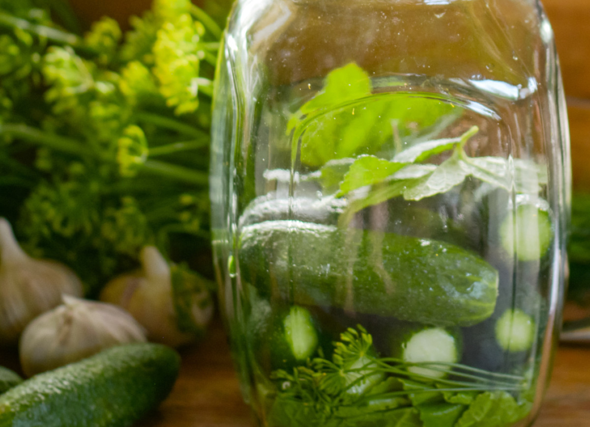 kiszenie ogorków z liśćmi porzeczki