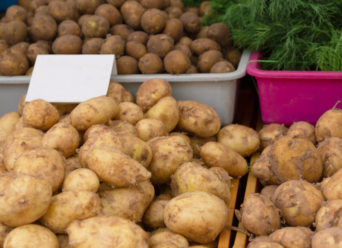 polskie młode ziemniaki