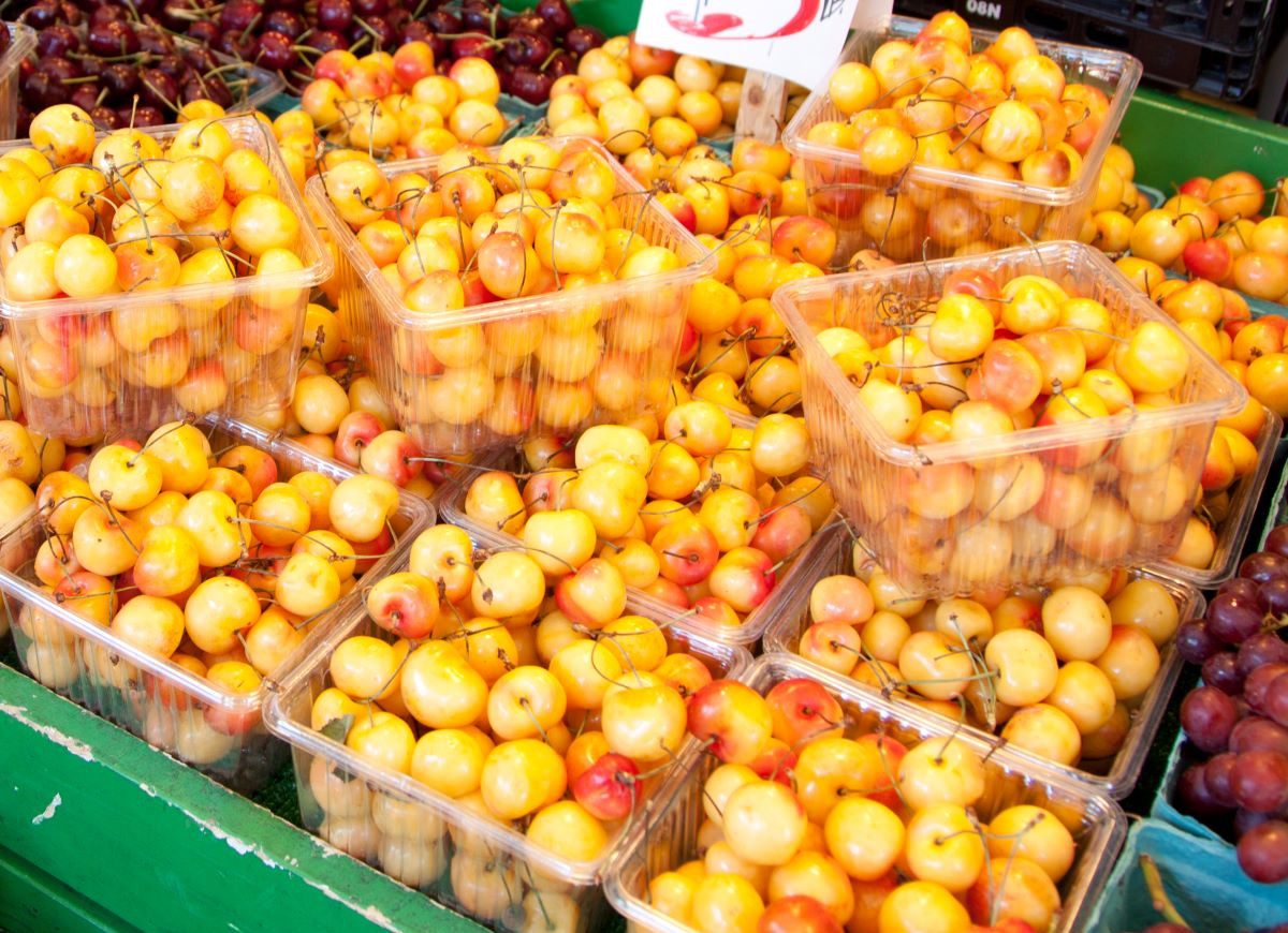 białe czereśnie w pojemnikach