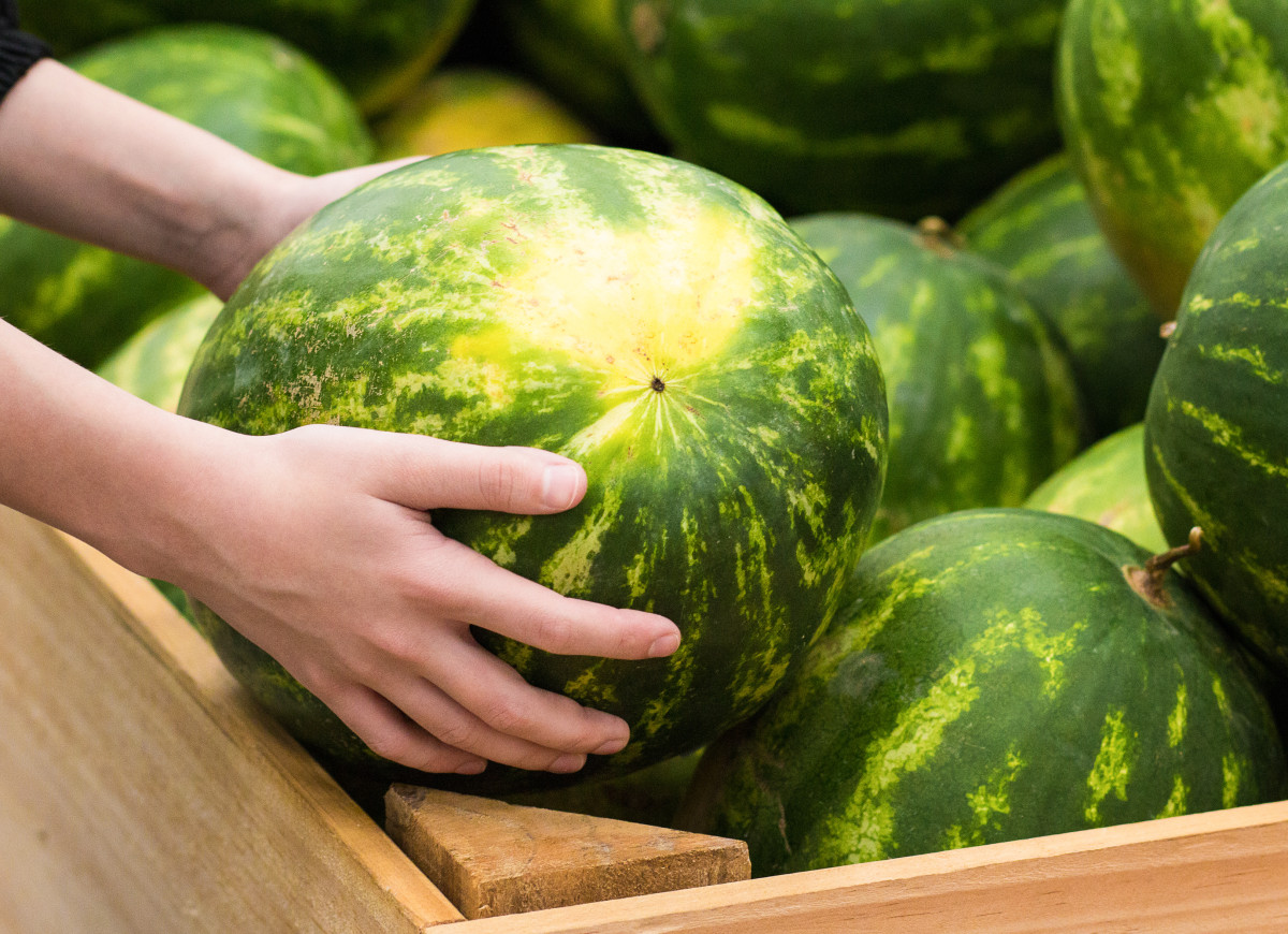 jak wybrać słodkiego arbuza