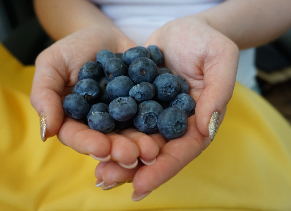 borówka amerykańska przeciwwskazania