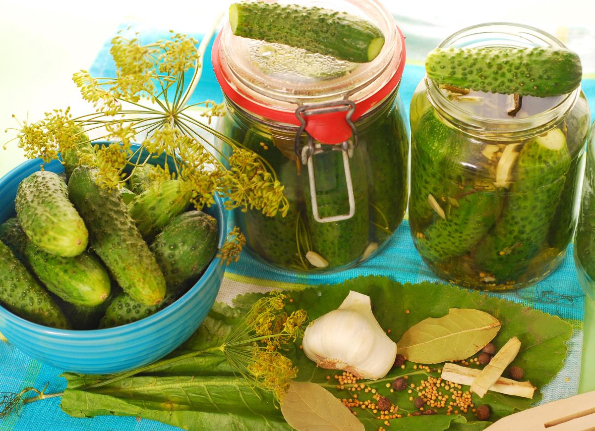 chrupiące ogórki kiszone