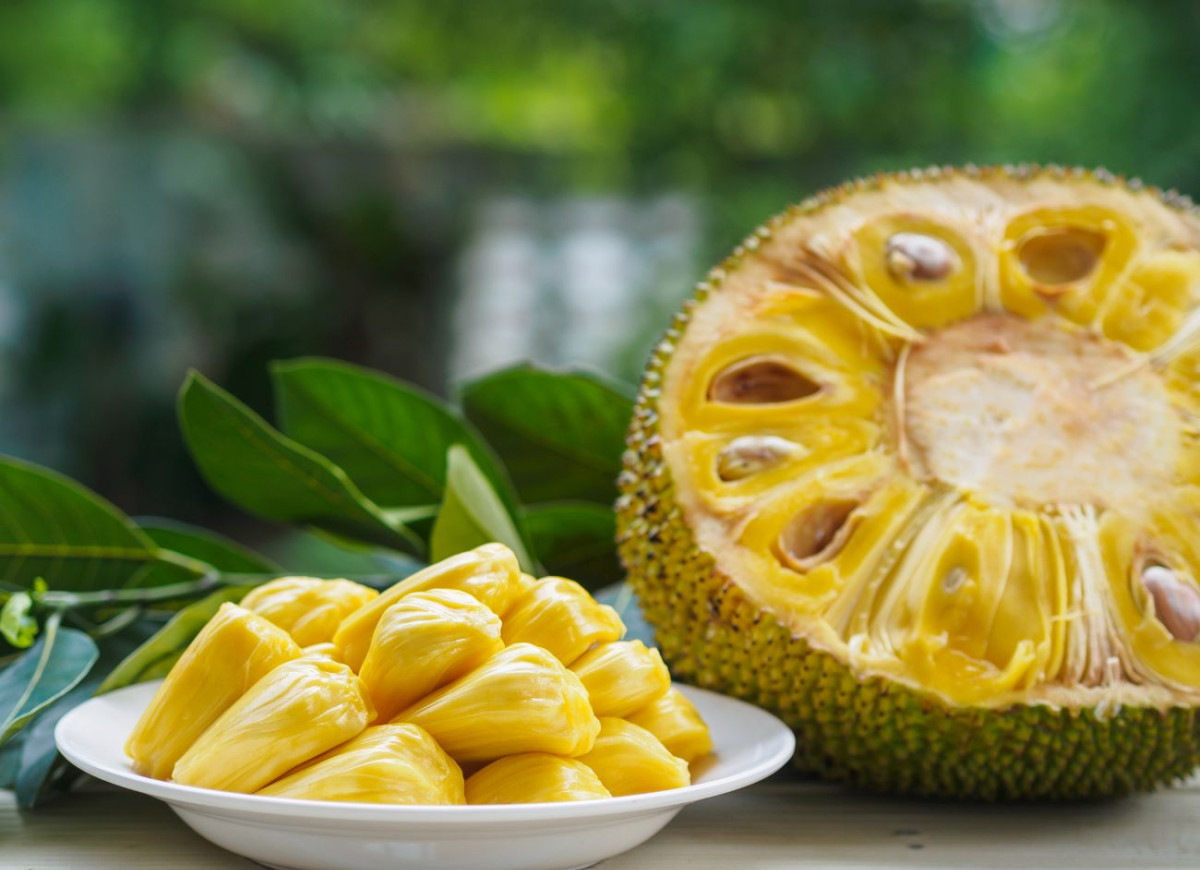 jackfruit